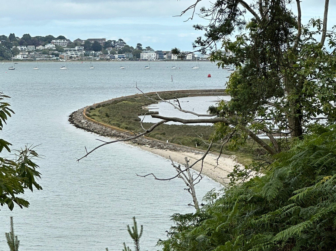 Brownsea Island-普尔必去景点