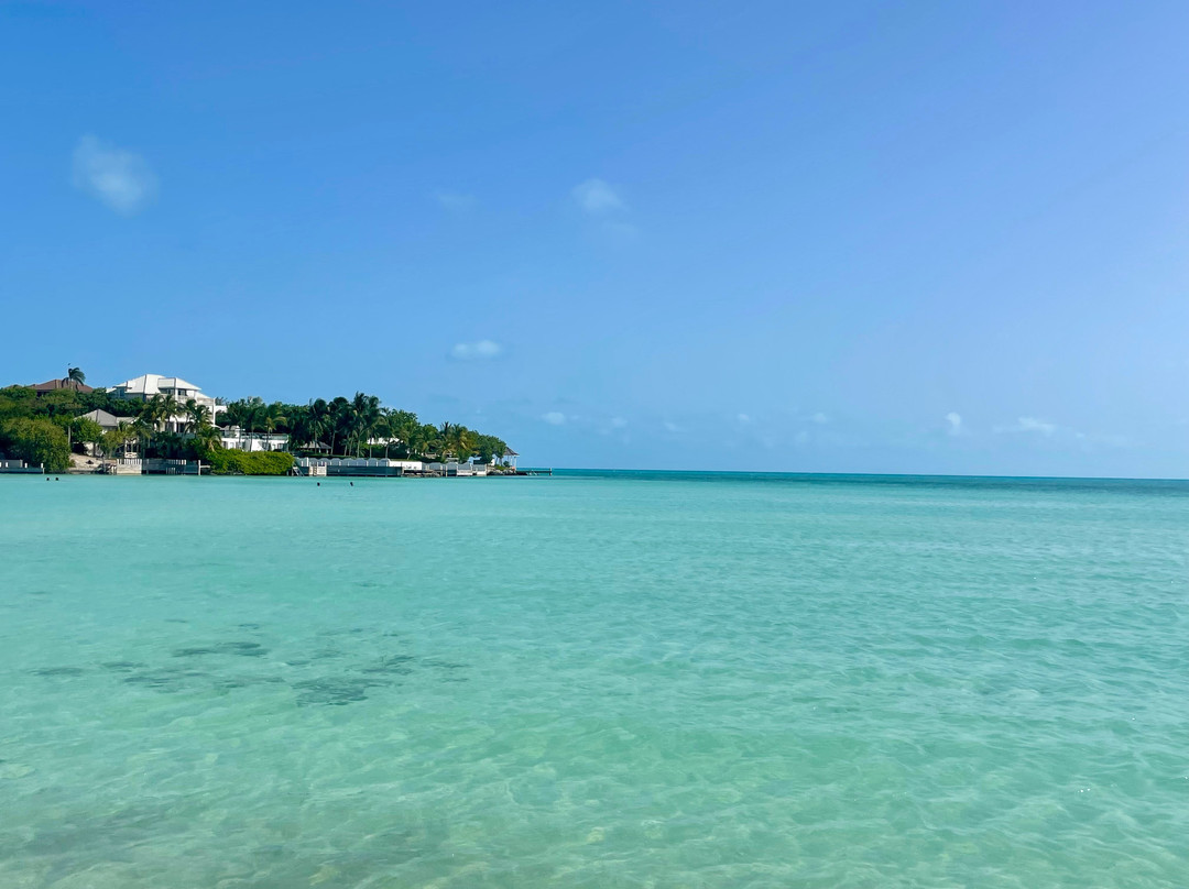 Taylor Bay Beach-普罗维登西亚莱斯必去景点