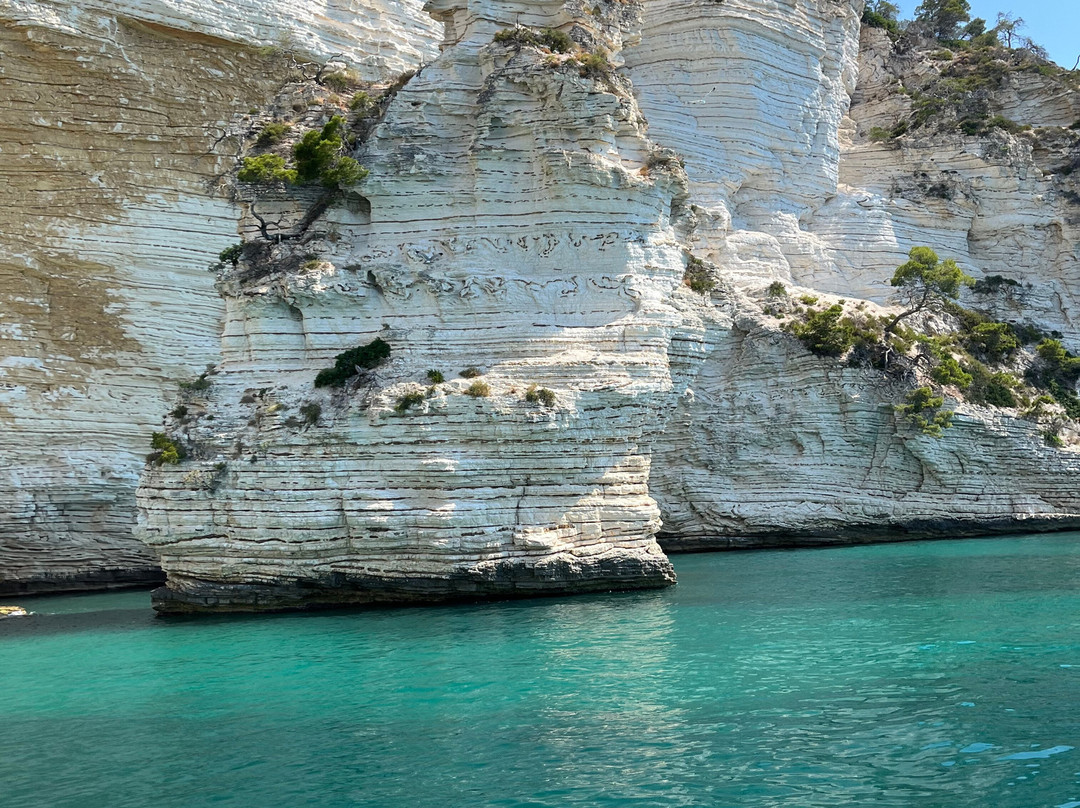 Costante Nicola Agenzia Tour Delle Grotte-佩斯基奇必去景点