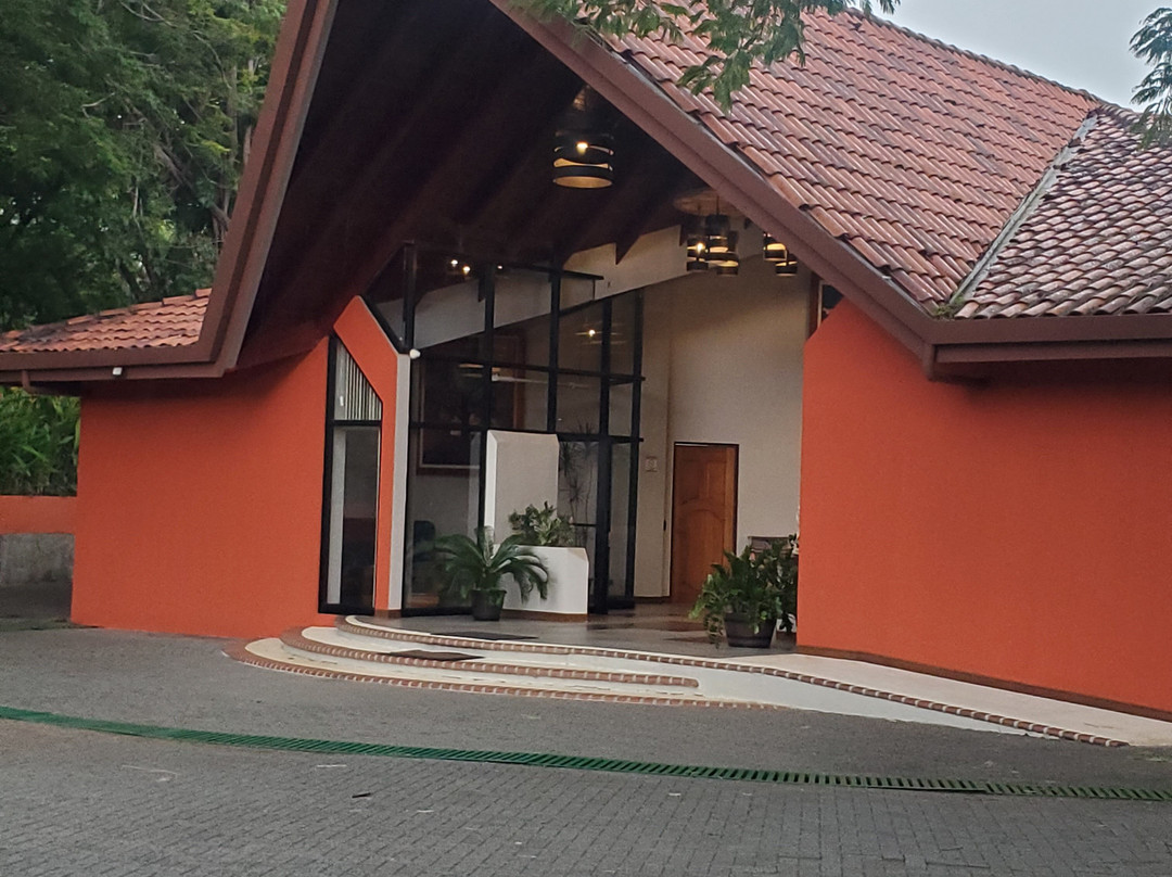 帕帕加约金棕榈海滨酒店主图