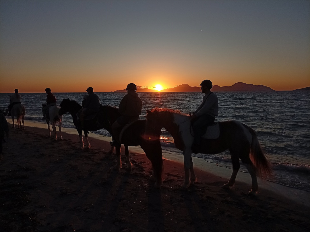 Erika's Horse Farm Kos-Marmari必去景点