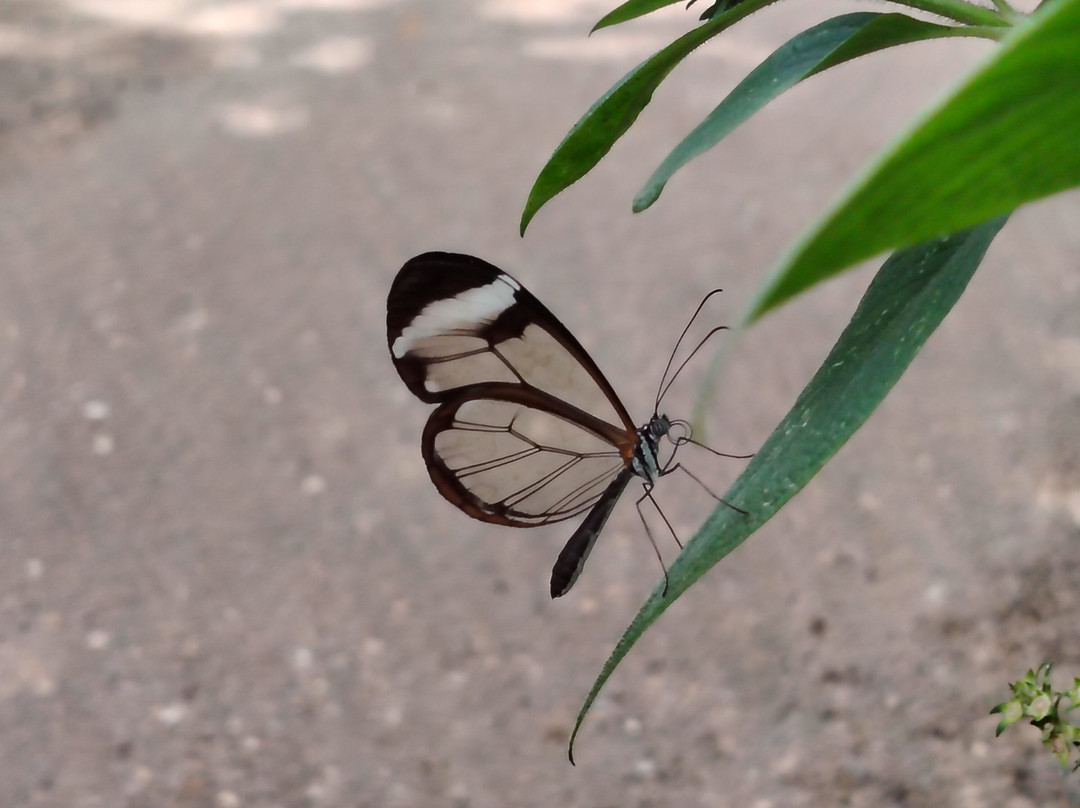 Portsmouth Natural History Museum-普兹茅斯必去景点