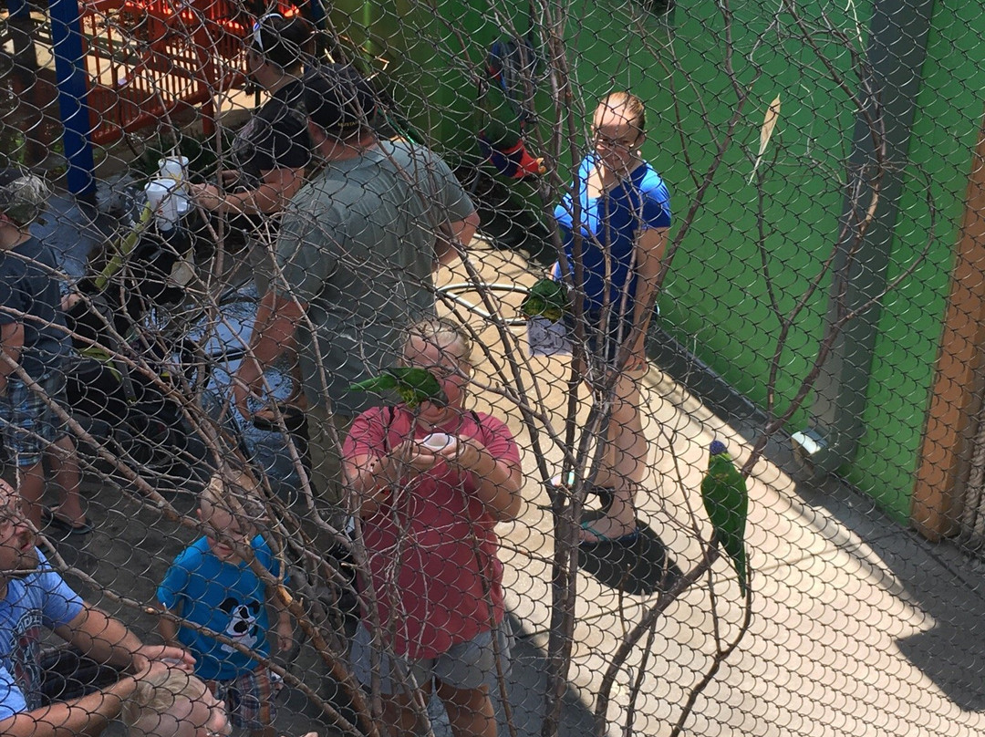 Oklahoma City Zoo and Botanical Garden-俄克拉何马城必去景点