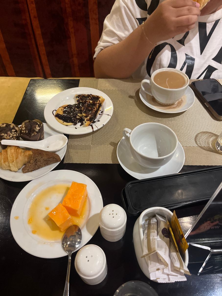 棉兰安卡沙马哈塞普塔美爵酒店-旅行者