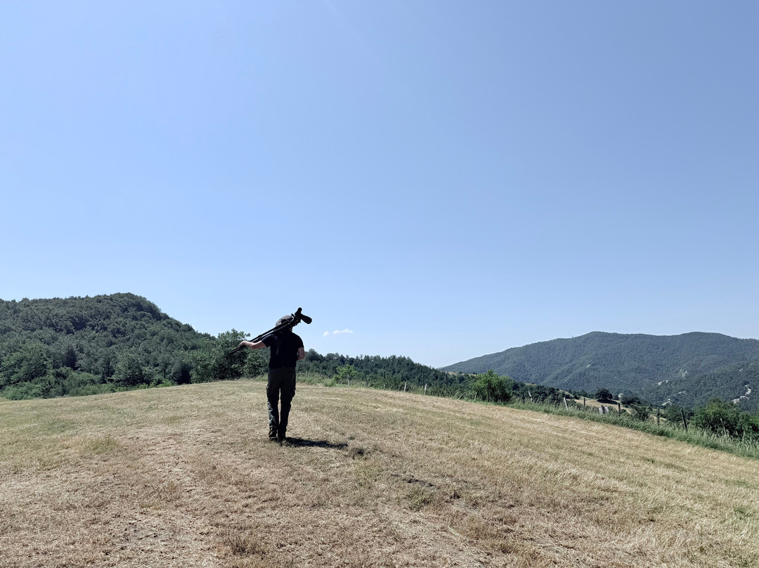Birding In Italy-Capolona必去景点