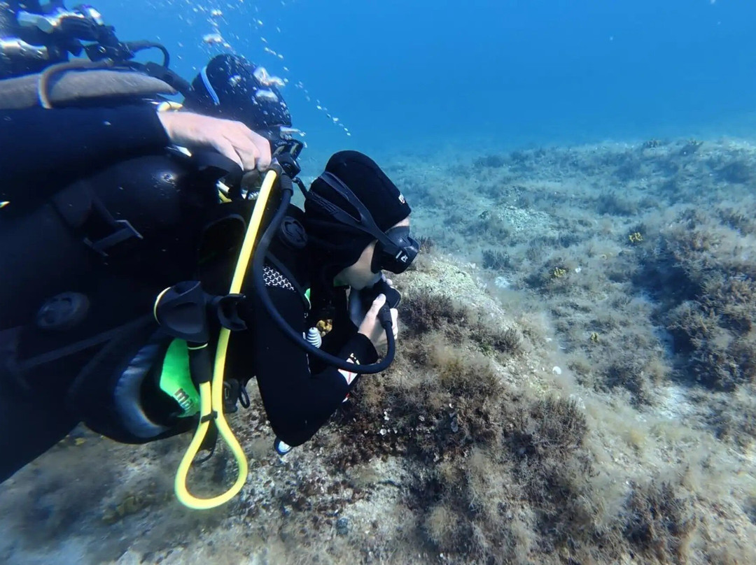 Connex Diving-Stara Novalja必去景点