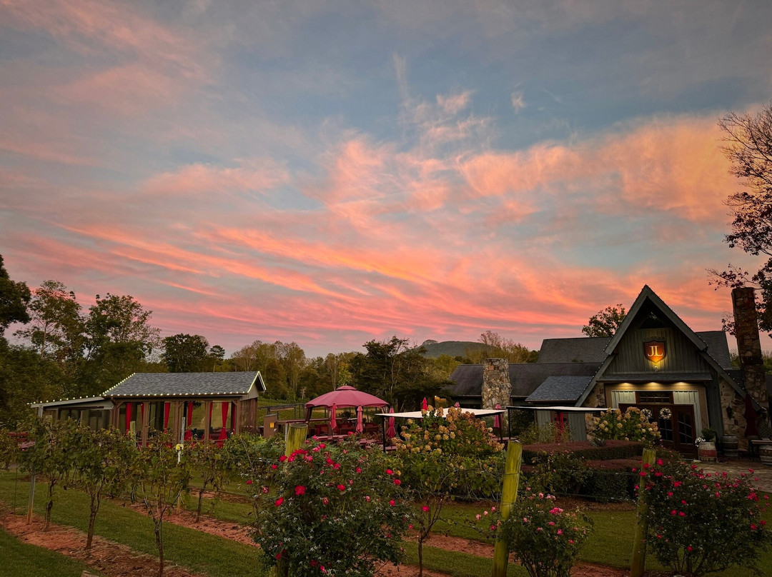 JOLO Winery & Vineyards-Pilot Mountain必去景点