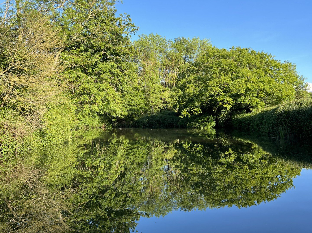 Champion Paddle and Path-East Peckham必去景点