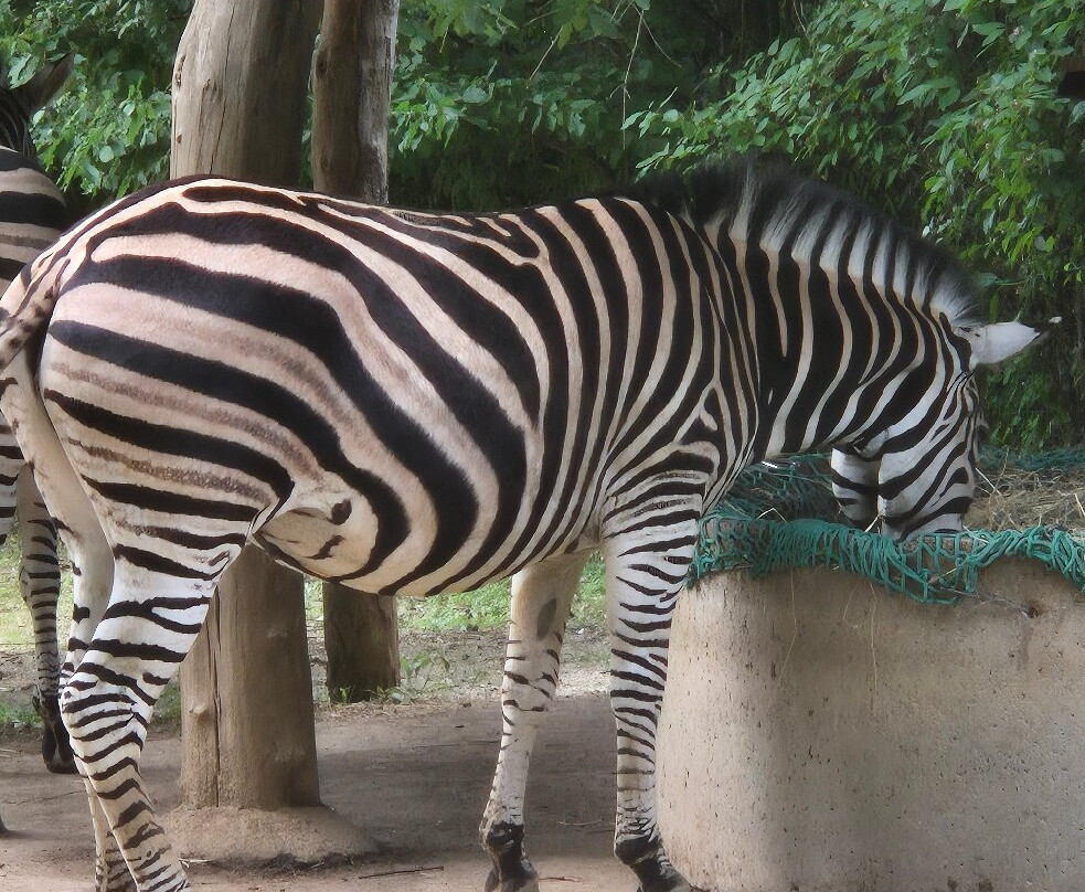 Zoo Ljubljana-卢布尔雅那必去景点