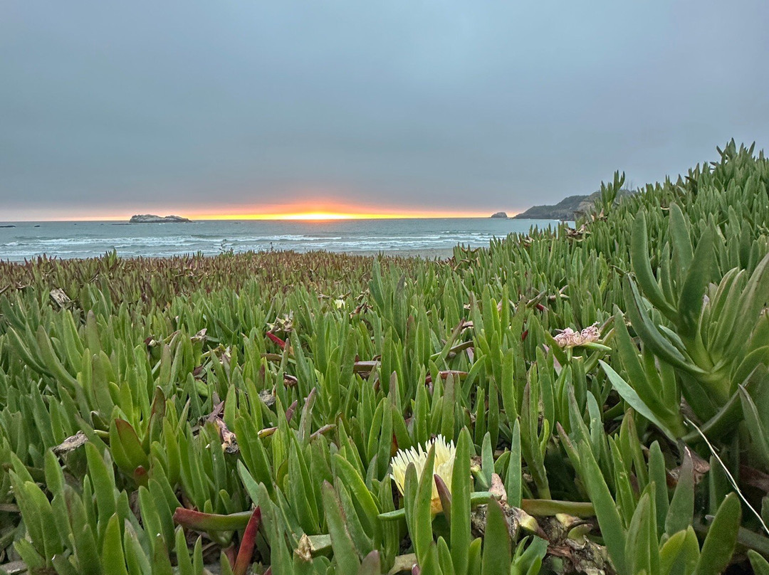 Trinidad State Beach-Trinidad必去景点