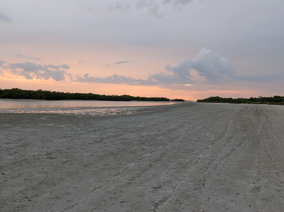 Tigertail Beach-马可岛必去景点