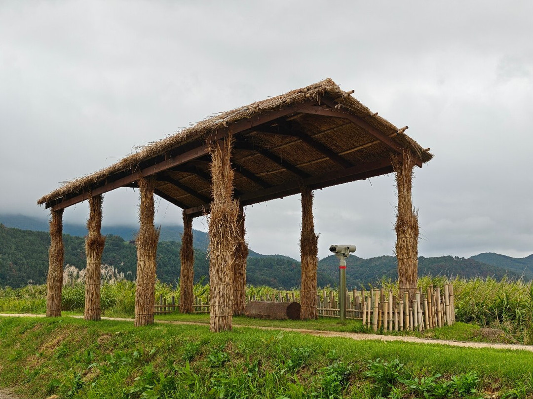Suncheon Bay Wetland Reserve-顺天市必去景点