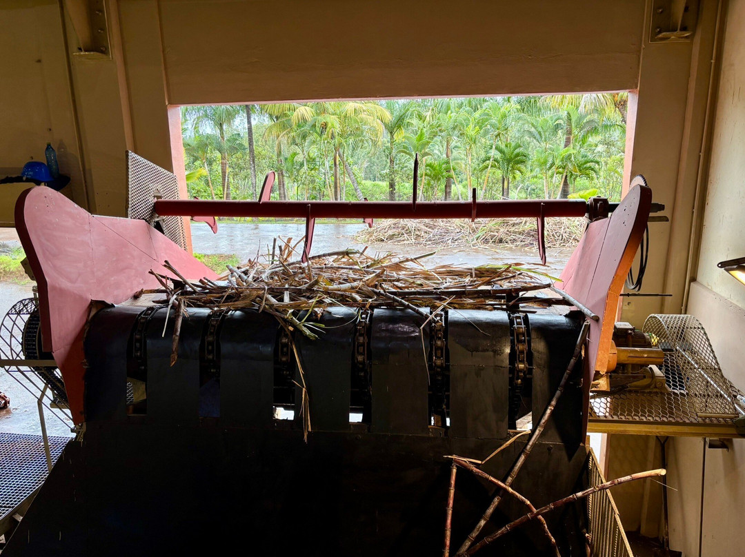 Rhumerie de Chamarel-沙马雷勒必去景点
