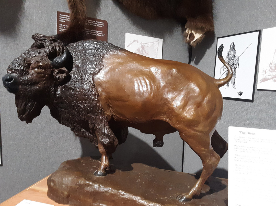 Northwest Montana History Museum-卡利斯佩尔必去景点