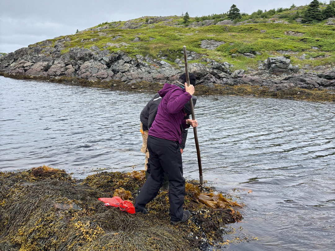 Adventures Newfoundland-Fortune Harbour必去景点