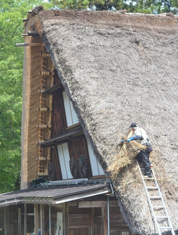Shirakawago-白川村必去景点