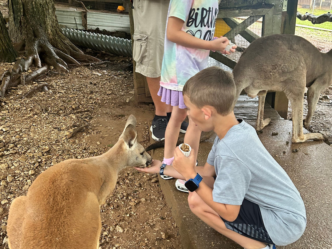 Kentucky Down Under Adventure Zoo-Horse Cave必去景点