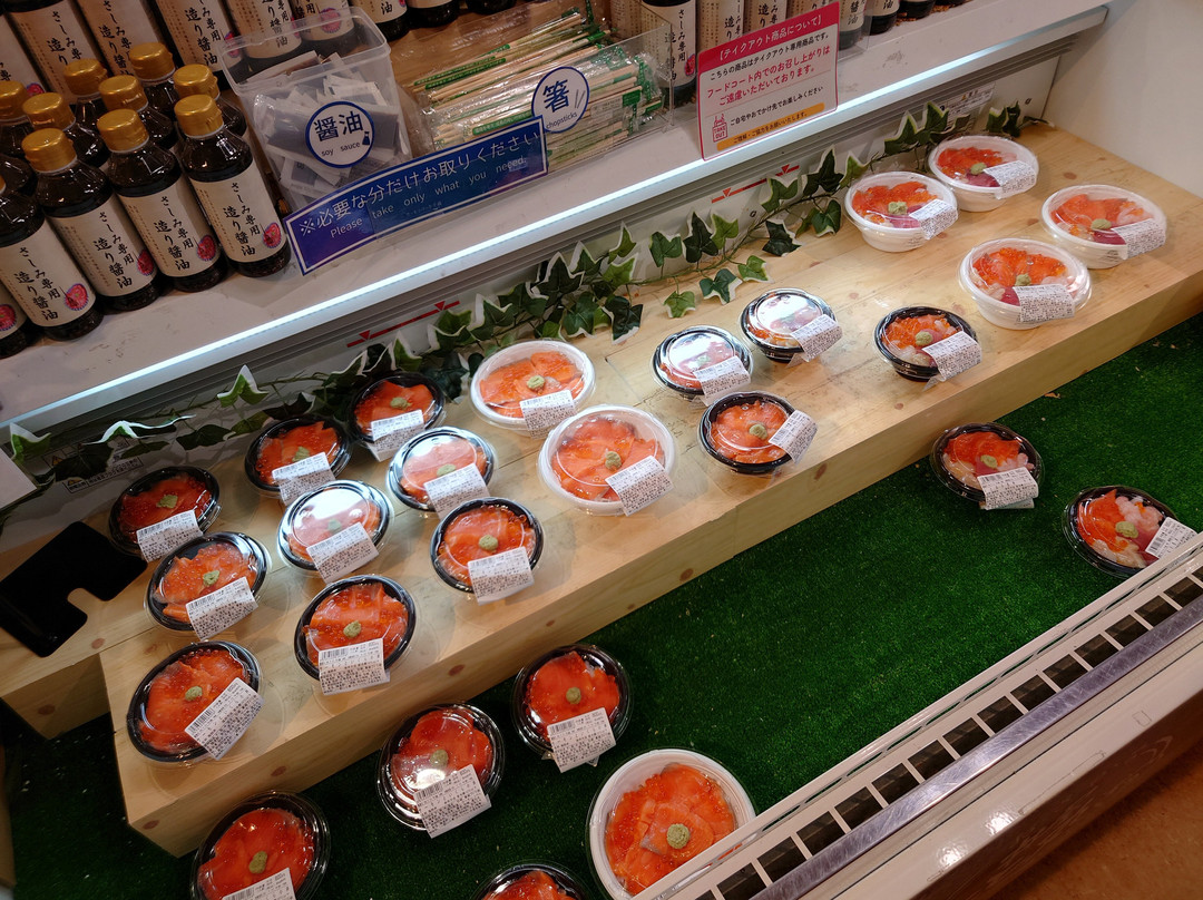 Michi-no-Eki Salmon Park Chitose-千岁市必去景点