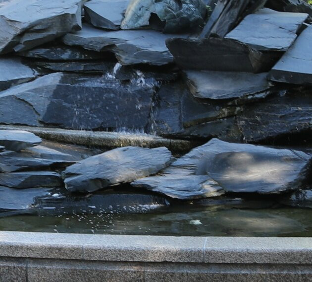 Ammonite Fountain