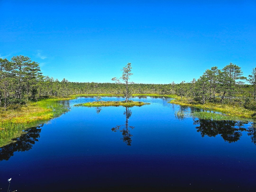 Viru Bog Trail-Kolga必去景点