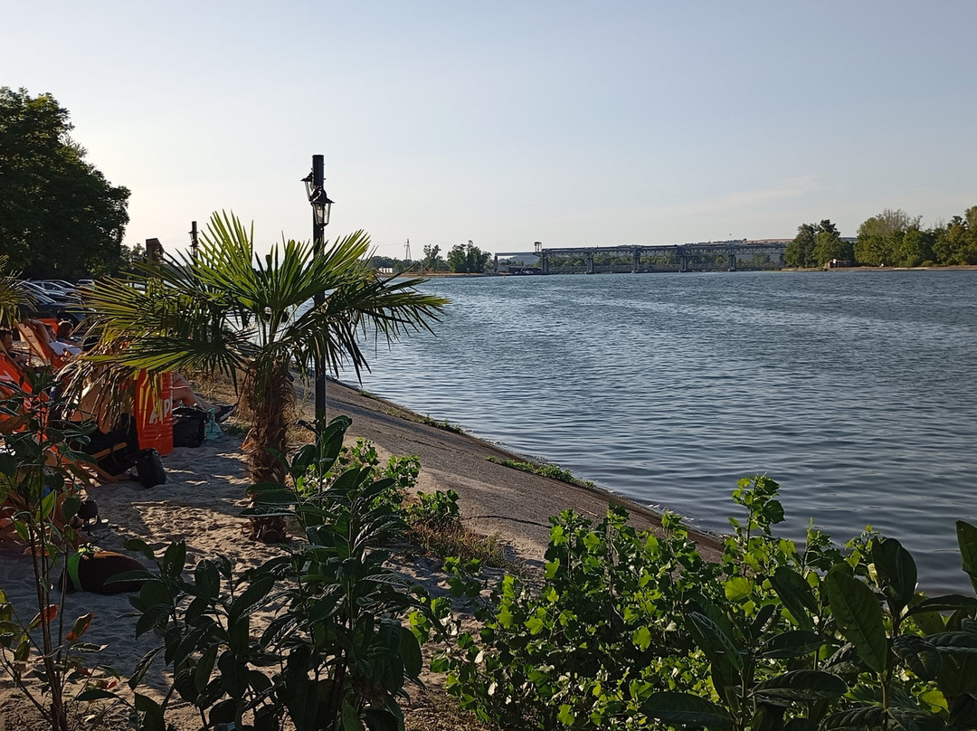 La perle du rhin
