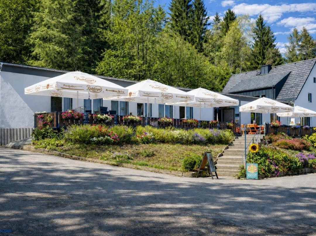 Dorfchemnitz酒店住宿-Pension & Berggasthaus Kapellenstein