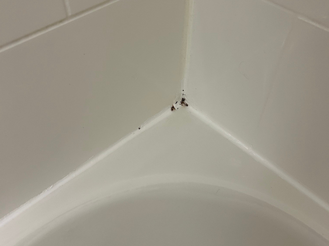 西北丹弗威斯敏斯特欢朋酒店主图