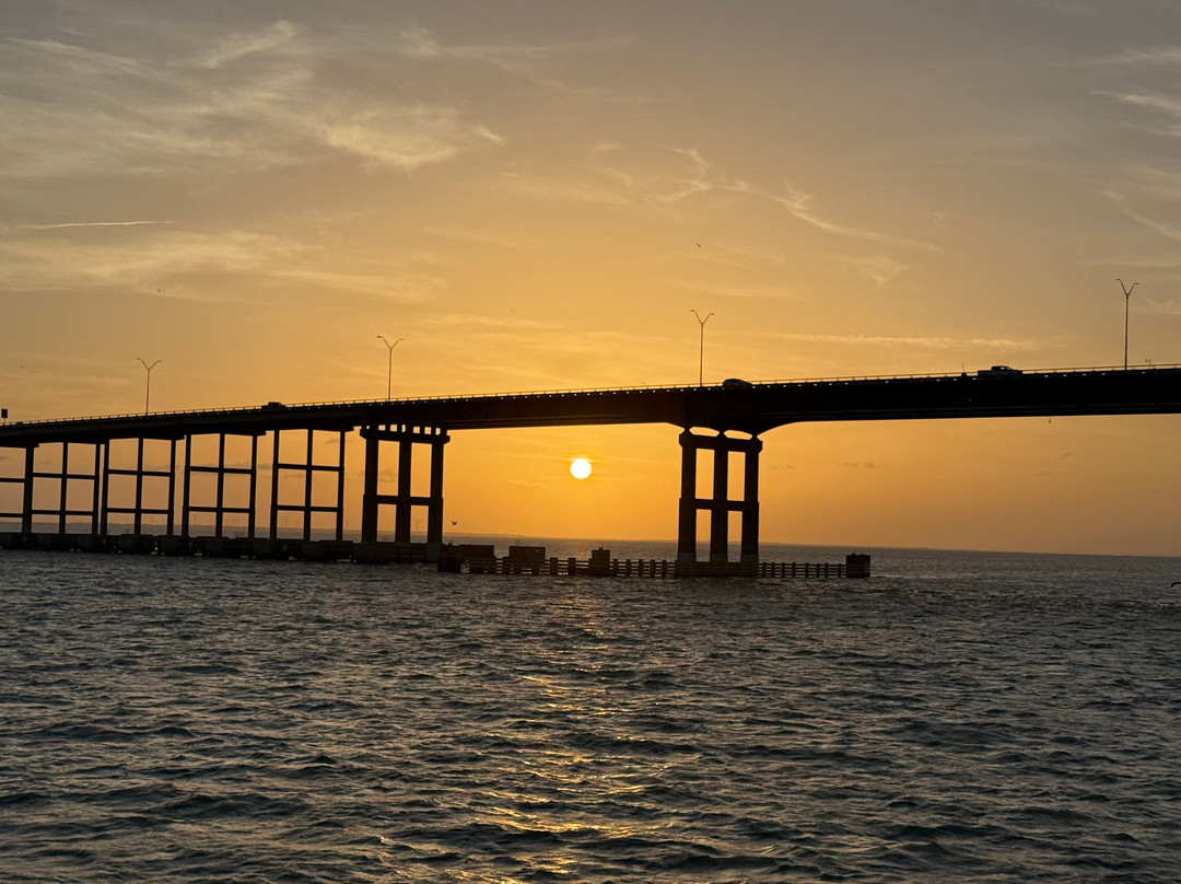 Dolphin Docks-Port Isabel必去景点
