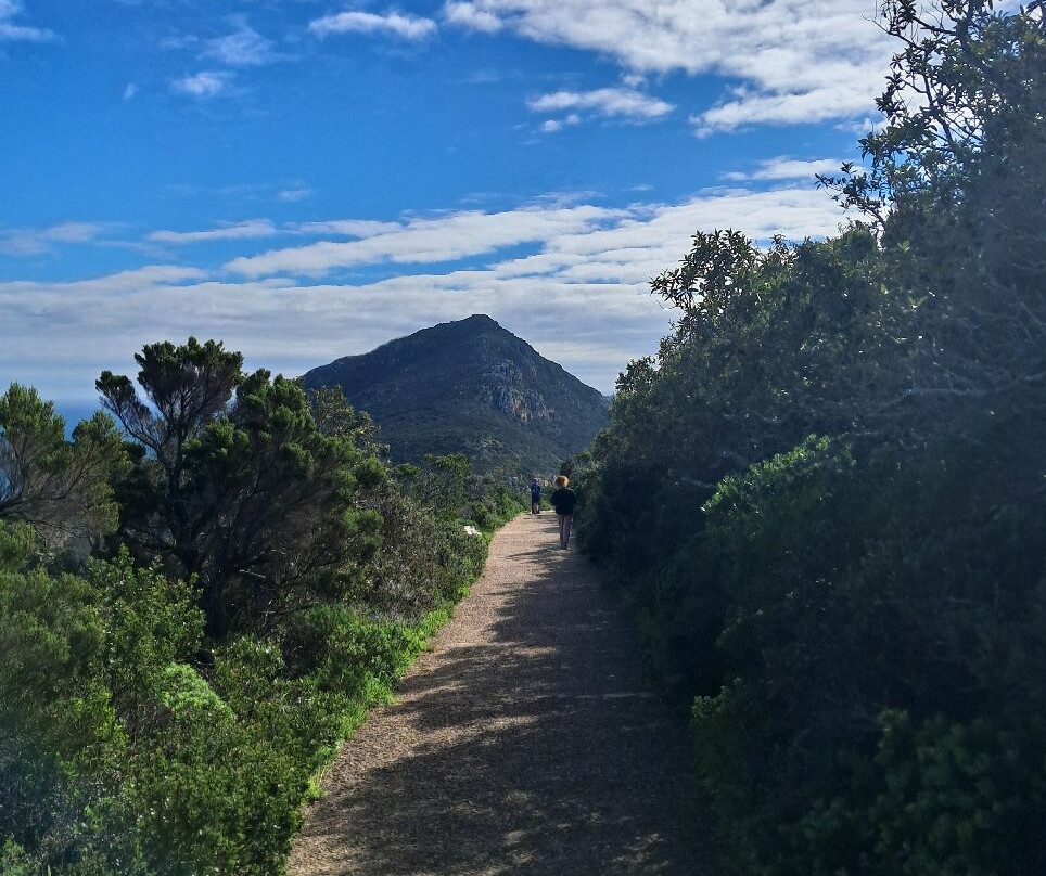 Escape to the Cape Sightseeing Tours-Rondebosch必去景点