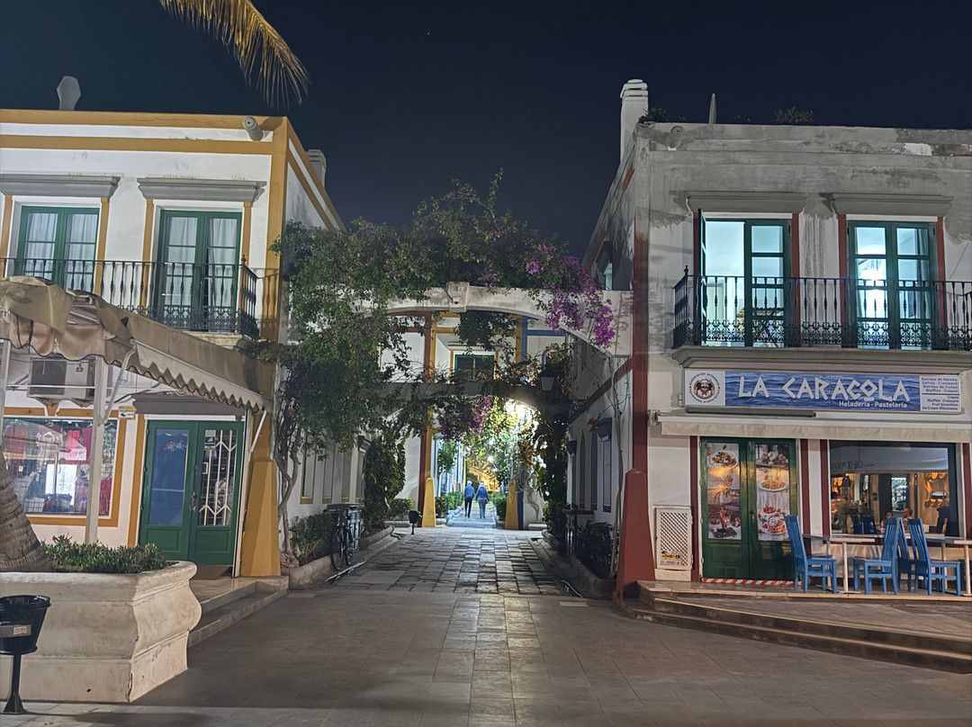 Puerto De Mogán-莫干港必去景点