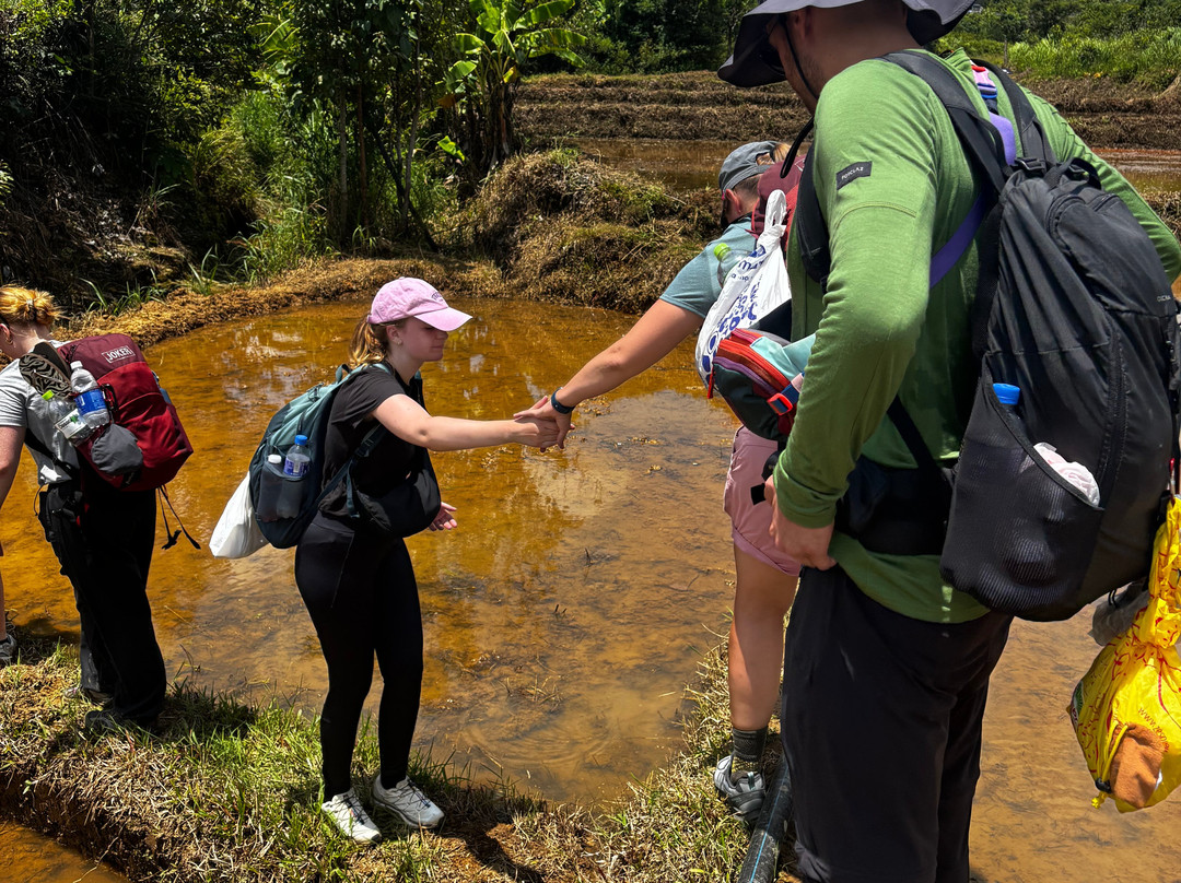 Highland Eco Tours-昆嵩必去景点
