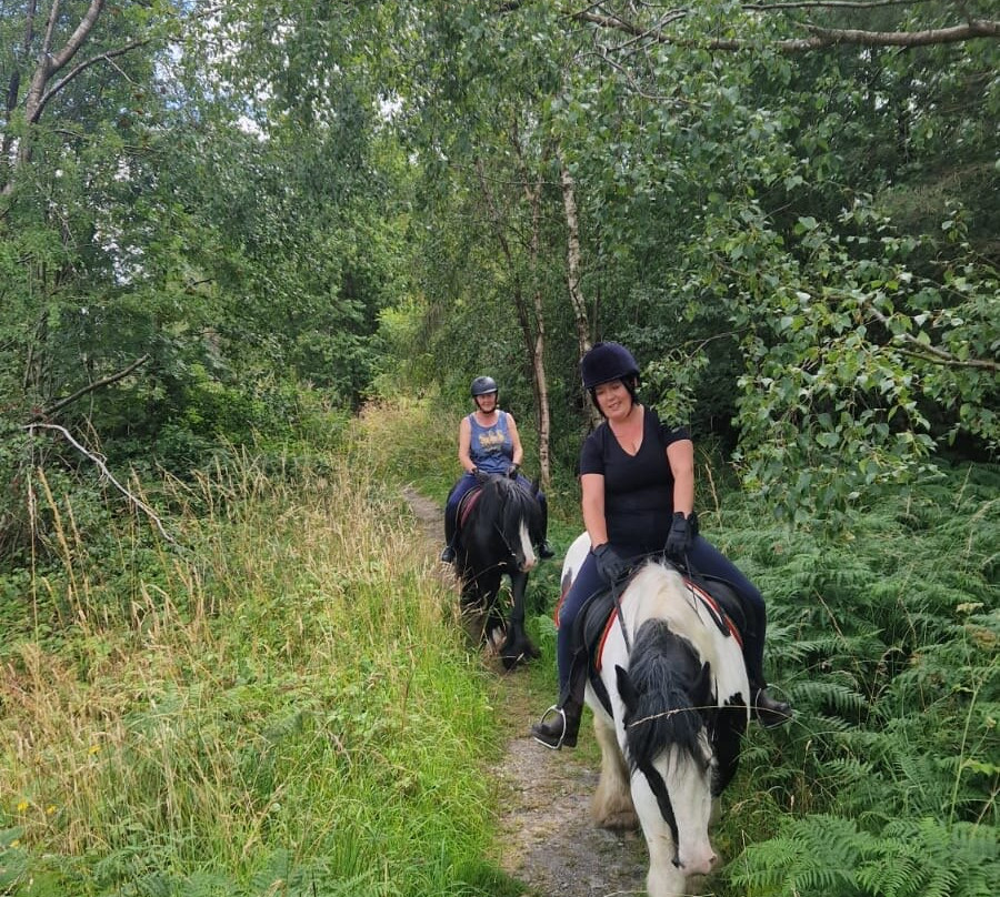 Bilsdale Riding Centre-Hawnby必去景点