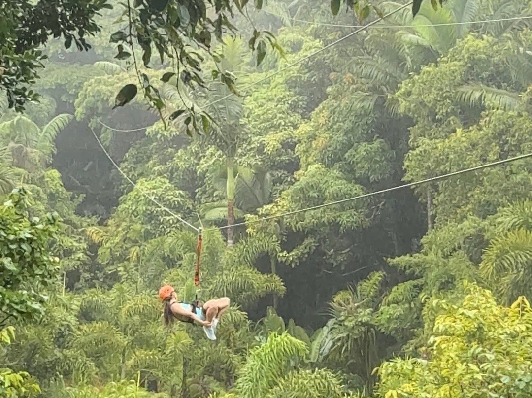Jungle Zipline Maui-海库必去景点
