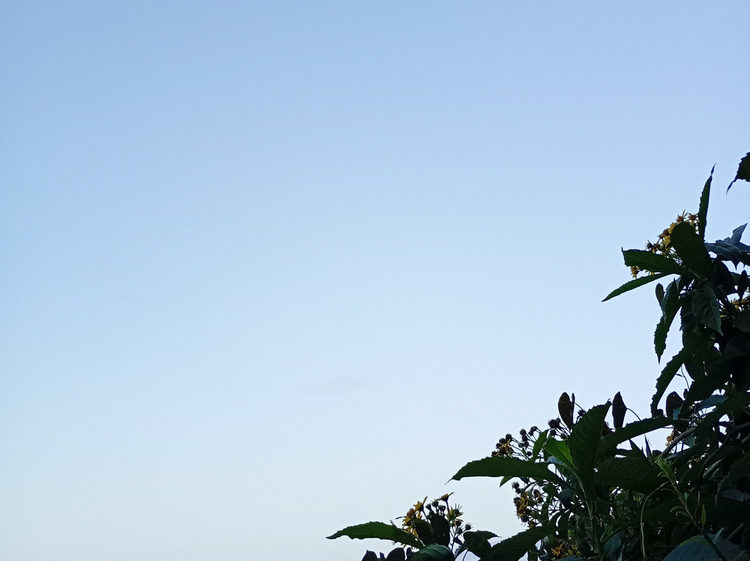 Deck do Pontal Norte-康泊琉海水浴场必去景点