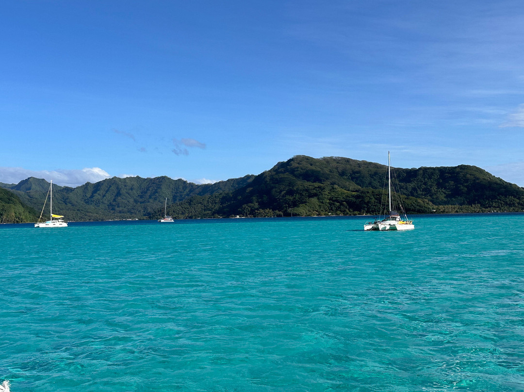 Dream Yacht Charter-Uturoa必去景点