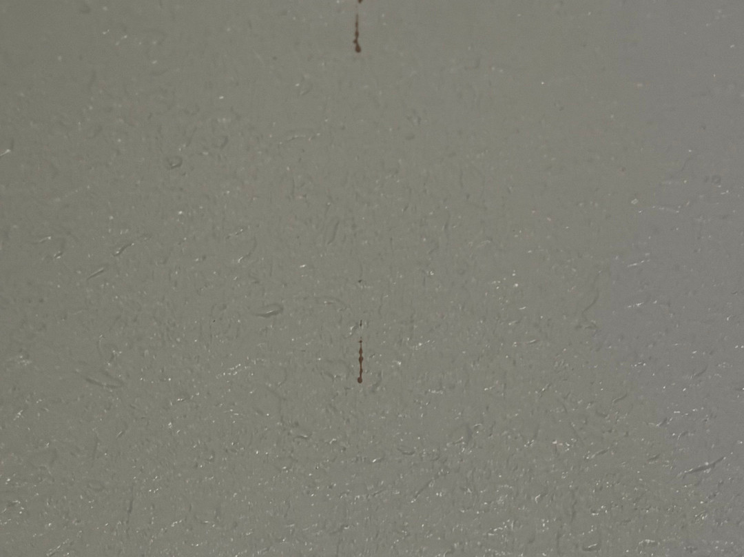 雷丁I-5附近凯艺酒店主图