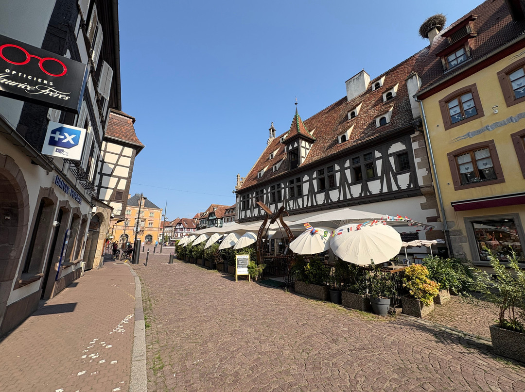 Parcours Historique d'Obernai-奥贝奈必去景点