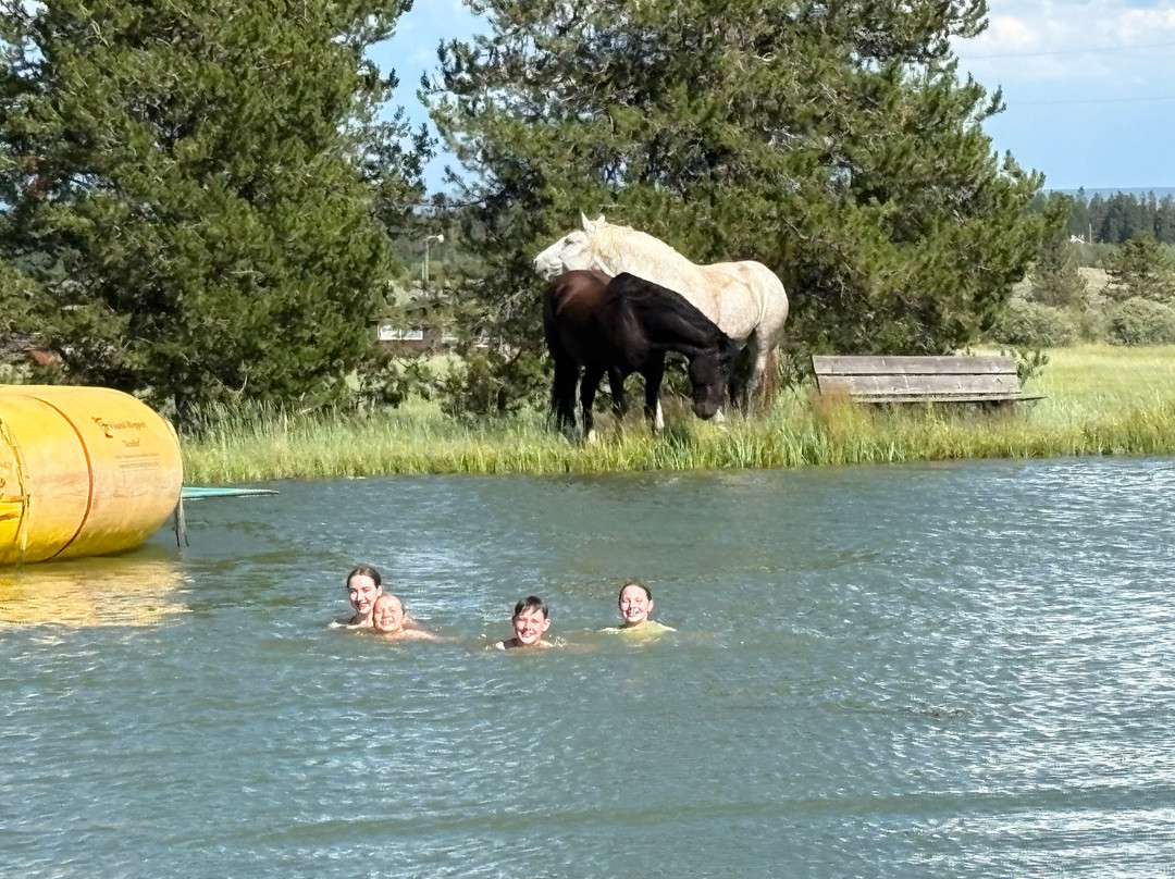 Yellowstone Horses - Eagle Ridge Ranch-艾兰帕克必去景点