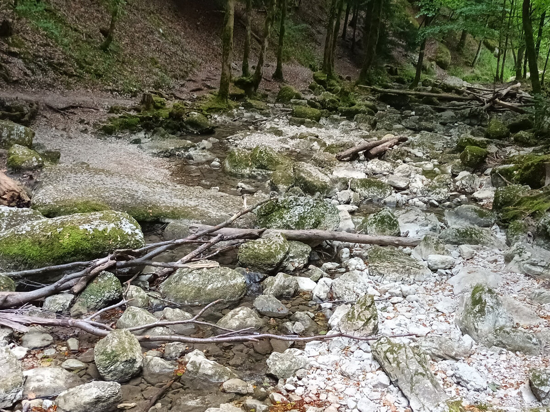 Les Cascades du Herisson-Menetrux-en-Joux必去景点