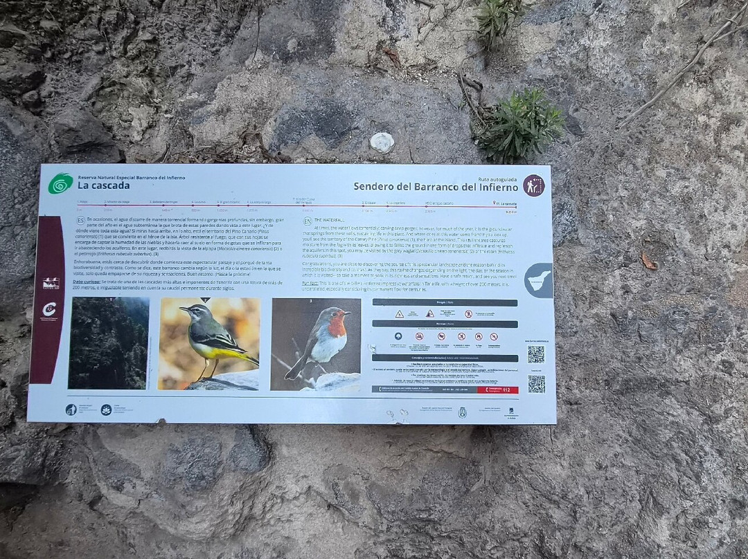 Barranco Del Infierno-奥德杰海岸必去景点