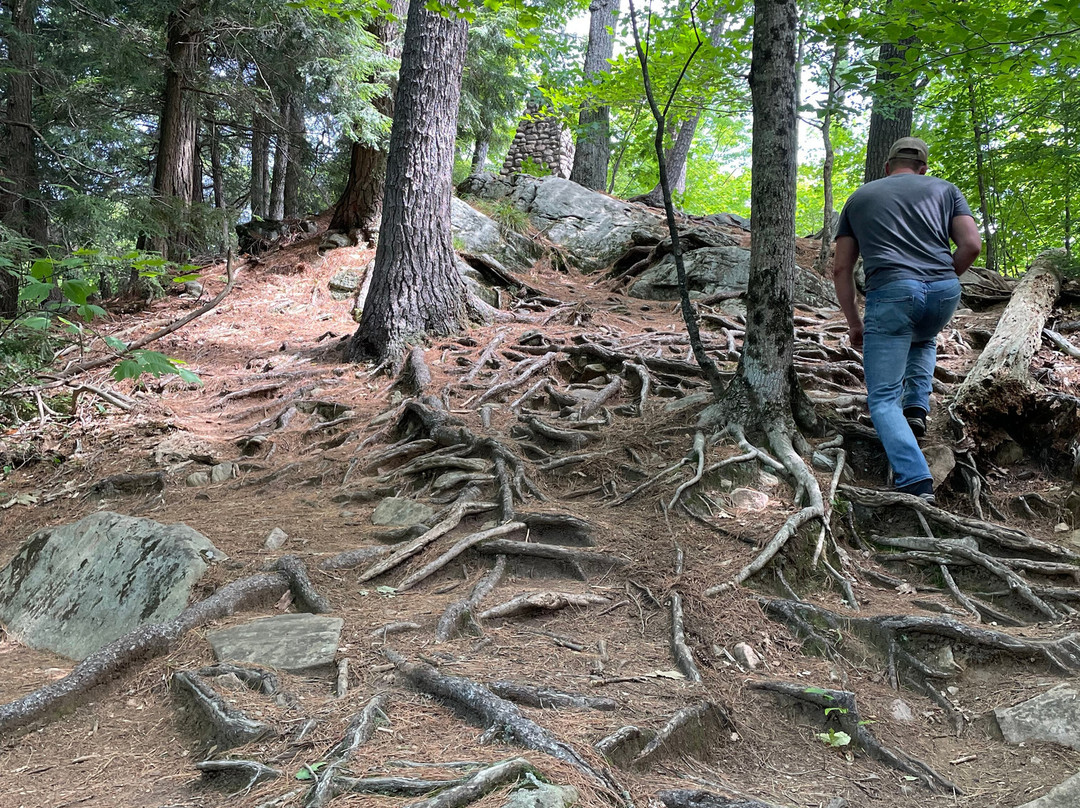 Hardwood Lookout Trail-阿冈昆公园必去景点