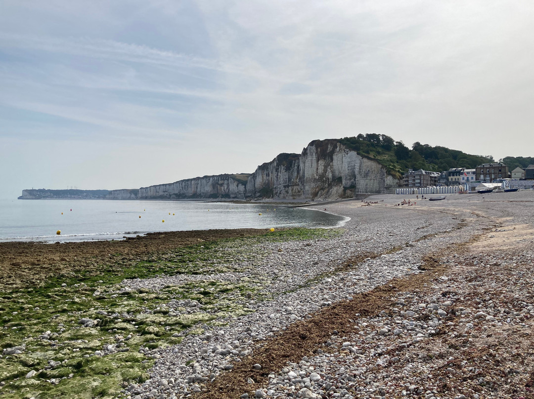 Plage-Baignade Yport-Yport必去景点
