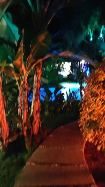 木槿花园度假村-旅行者