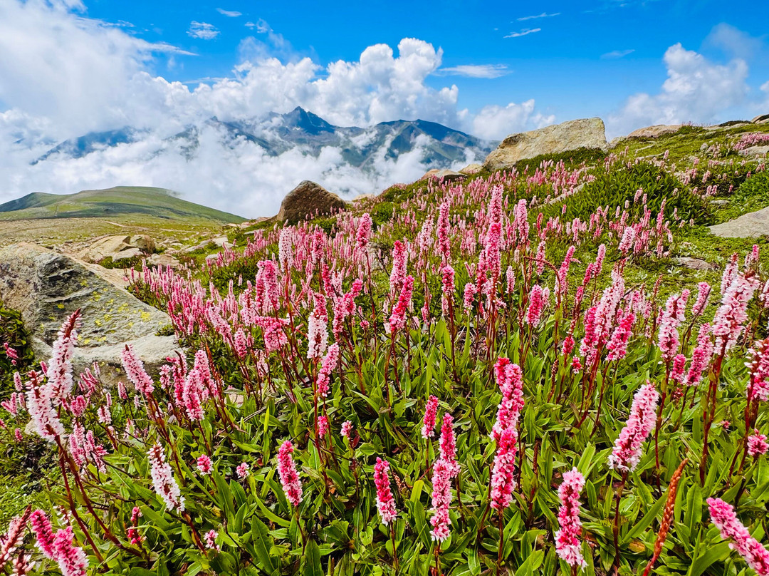 Apharwat Peak-贡马必去景点