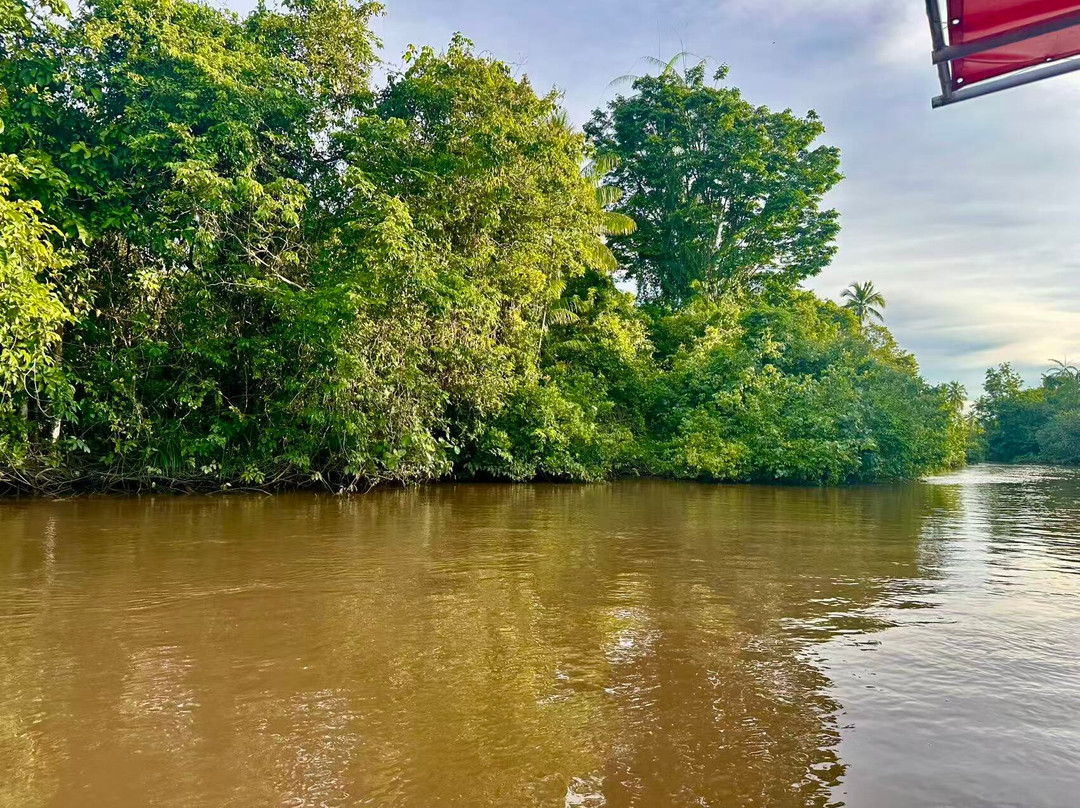 Bongawan Firefly Rivercruise-Bongawan必去景点
