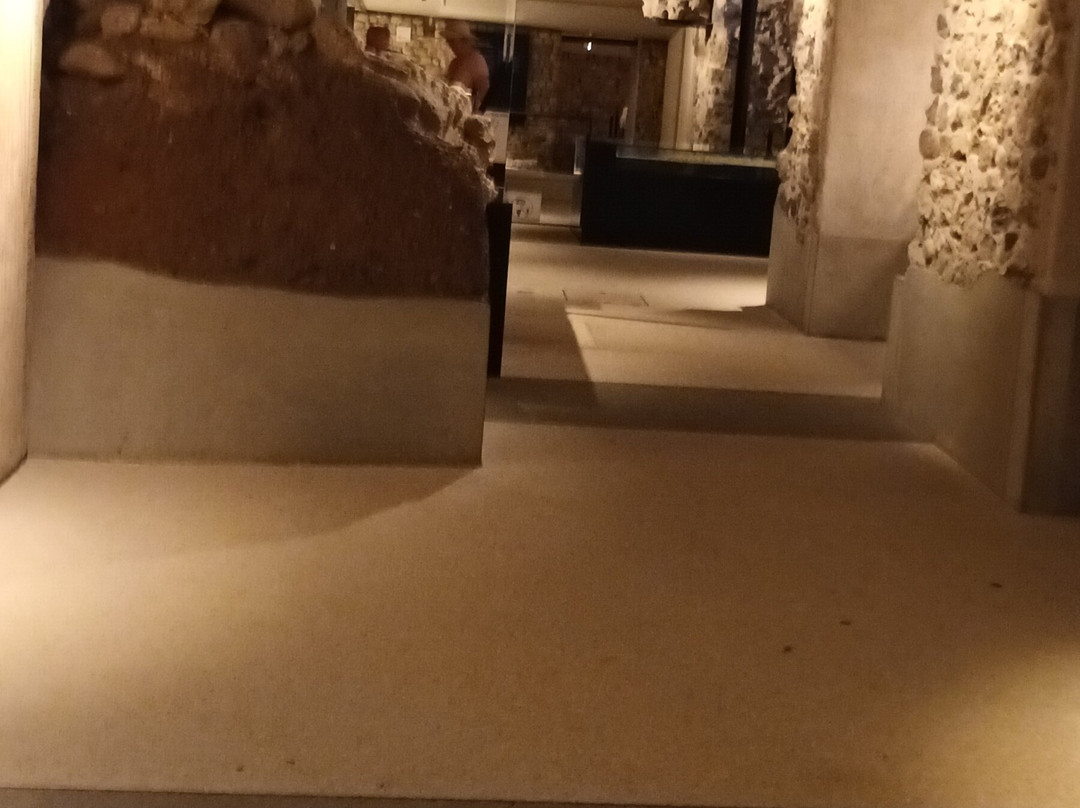 Site archéologique de la Cathédrale Saint-Pierre de Genève-日内瓦必去景点