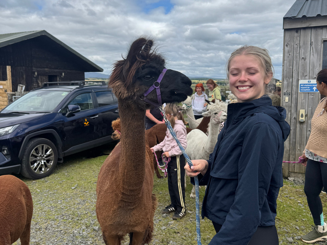 The Alpaca Trekking Centre-斯特灵必去景点
