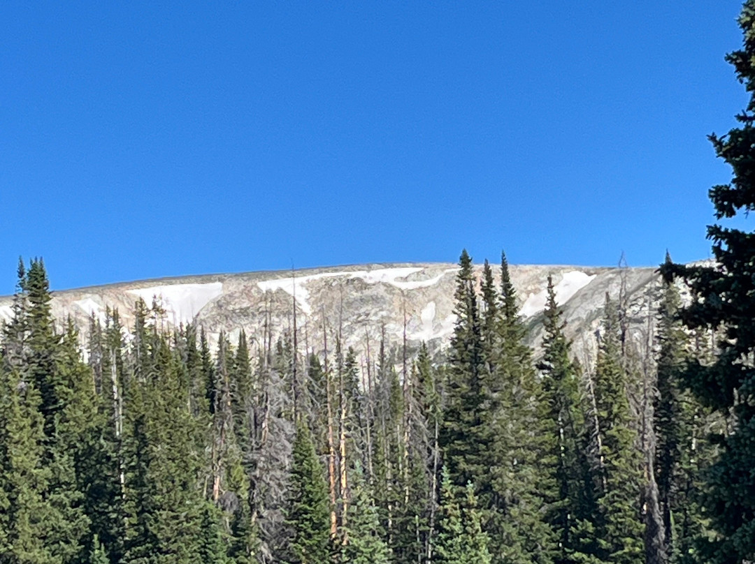 Medicine Bow National Forest-拉勒米必去景点