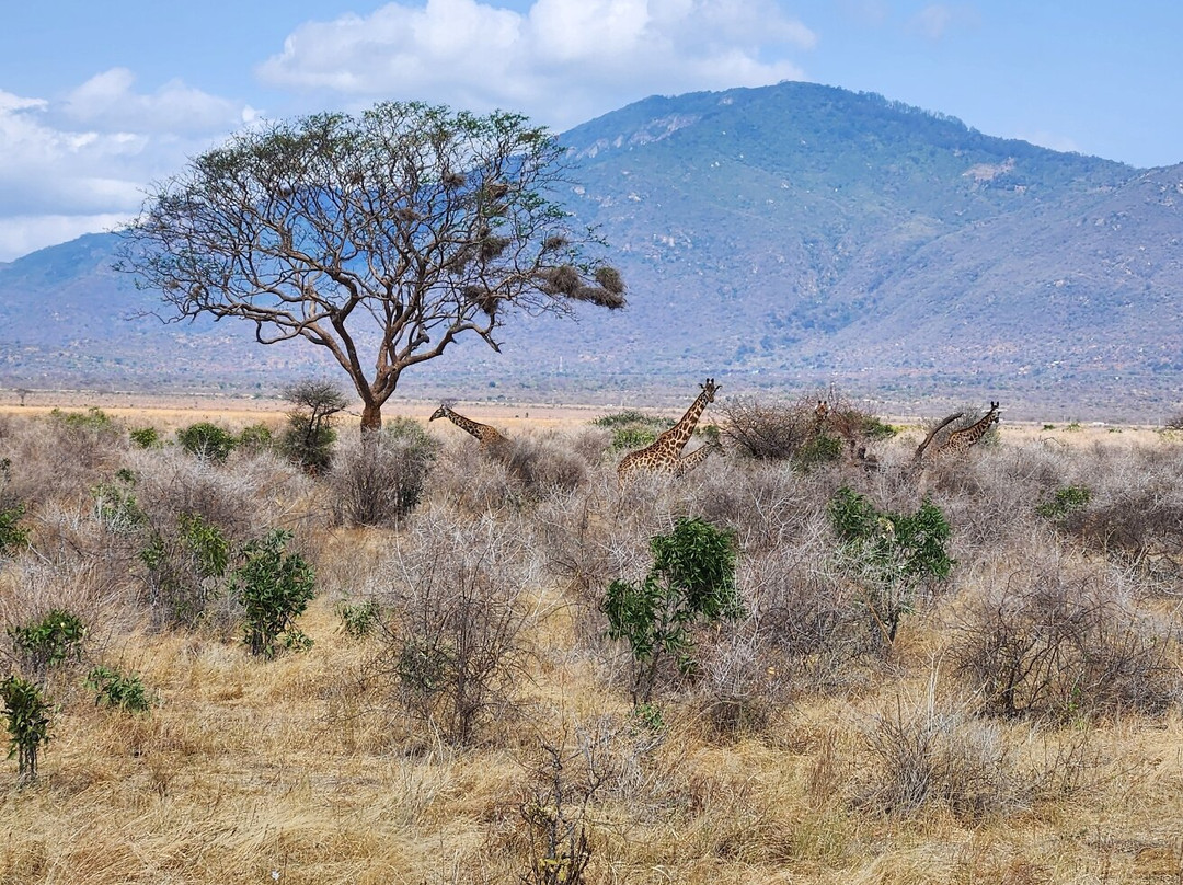 Explorer Kenya-内罗毕必去景点