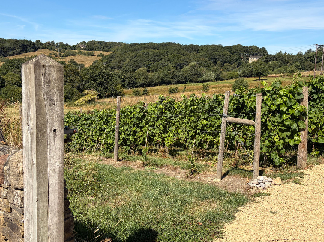 Helme Edge Vineyard-Holmfirth必去景点